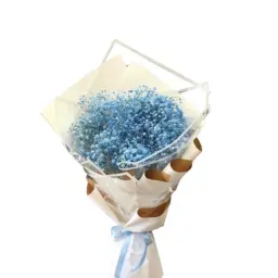 باقة اتش 88